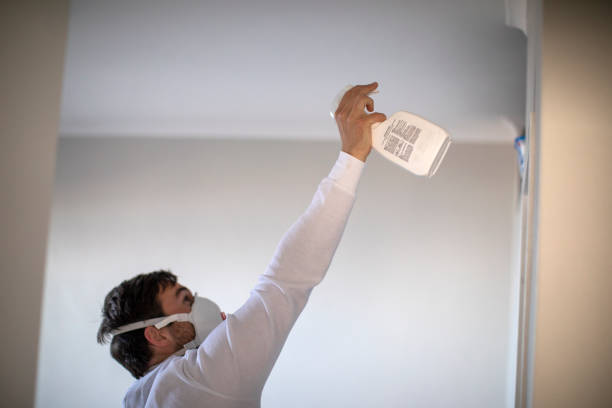 Best Post-Remediation Services in Forney, TX
