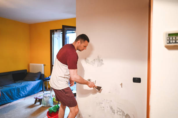 Best Mold Remediation for Specific Building Types in Forney, TX